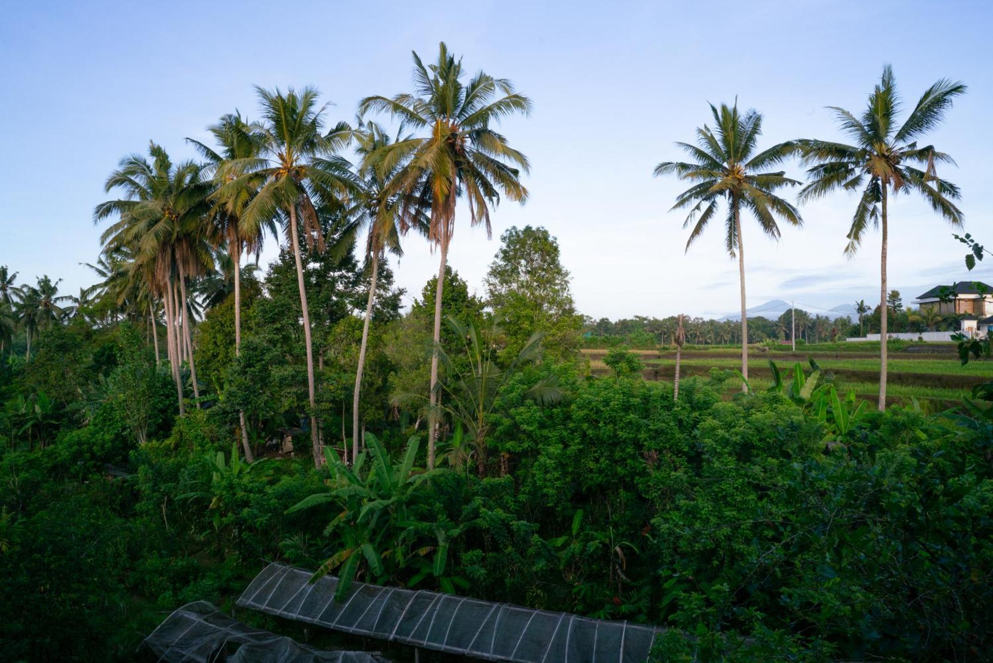 Karang Lila Bhuana Ubud Extérieur photo